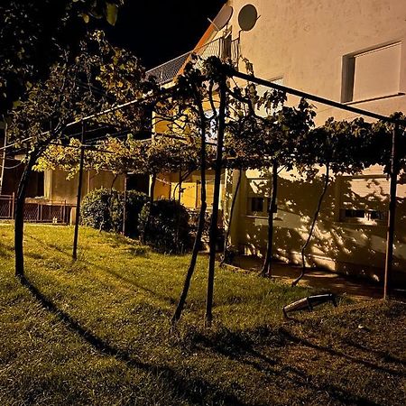 Entire 1-Bedroom Apartment With Free Parking Podgorica Luaran gambar